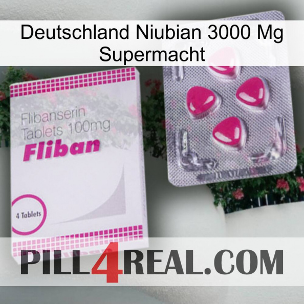 Germany Niubian 3000 Mg Superpower 32
